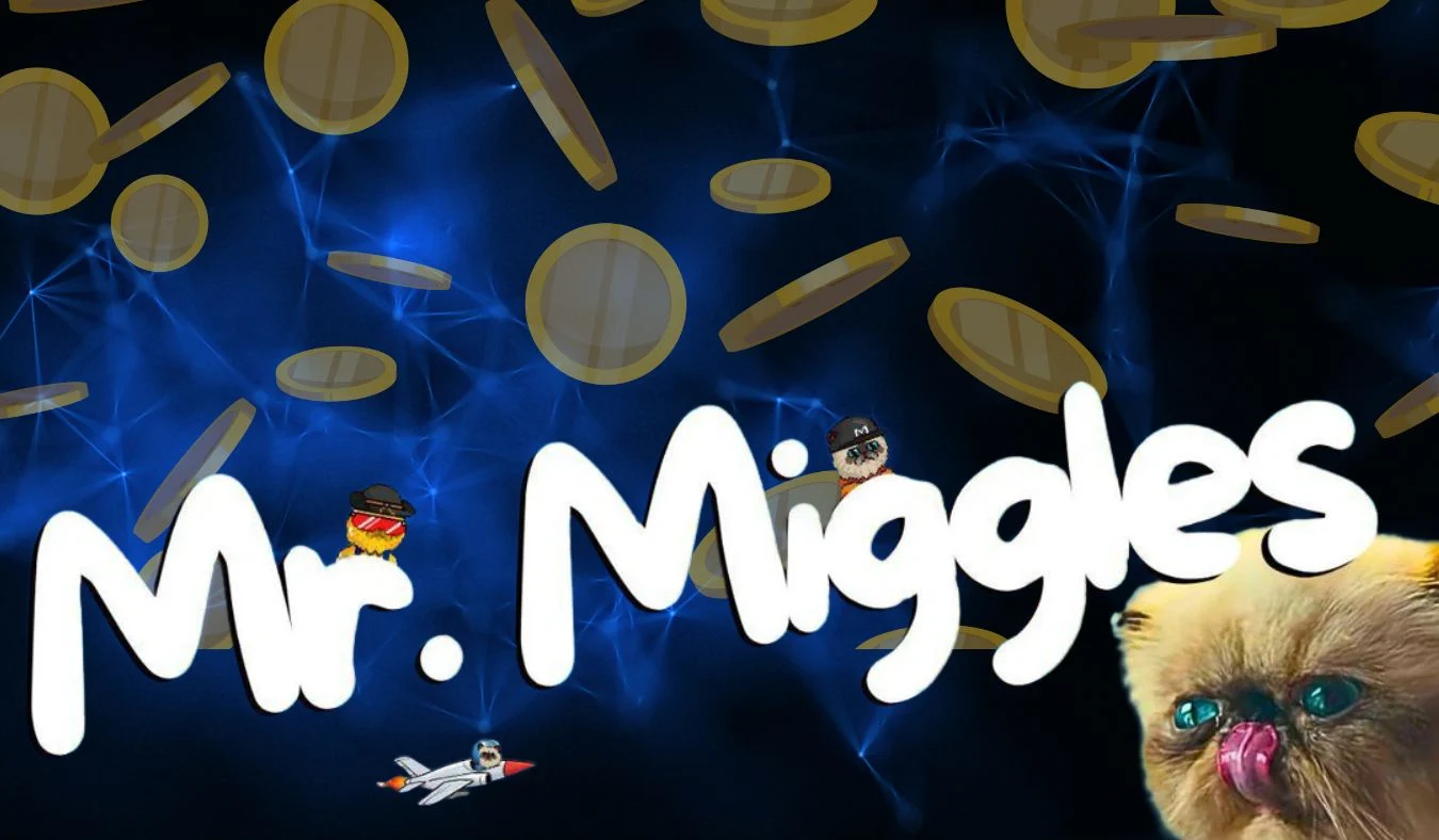 Mister Miggles In Crypto