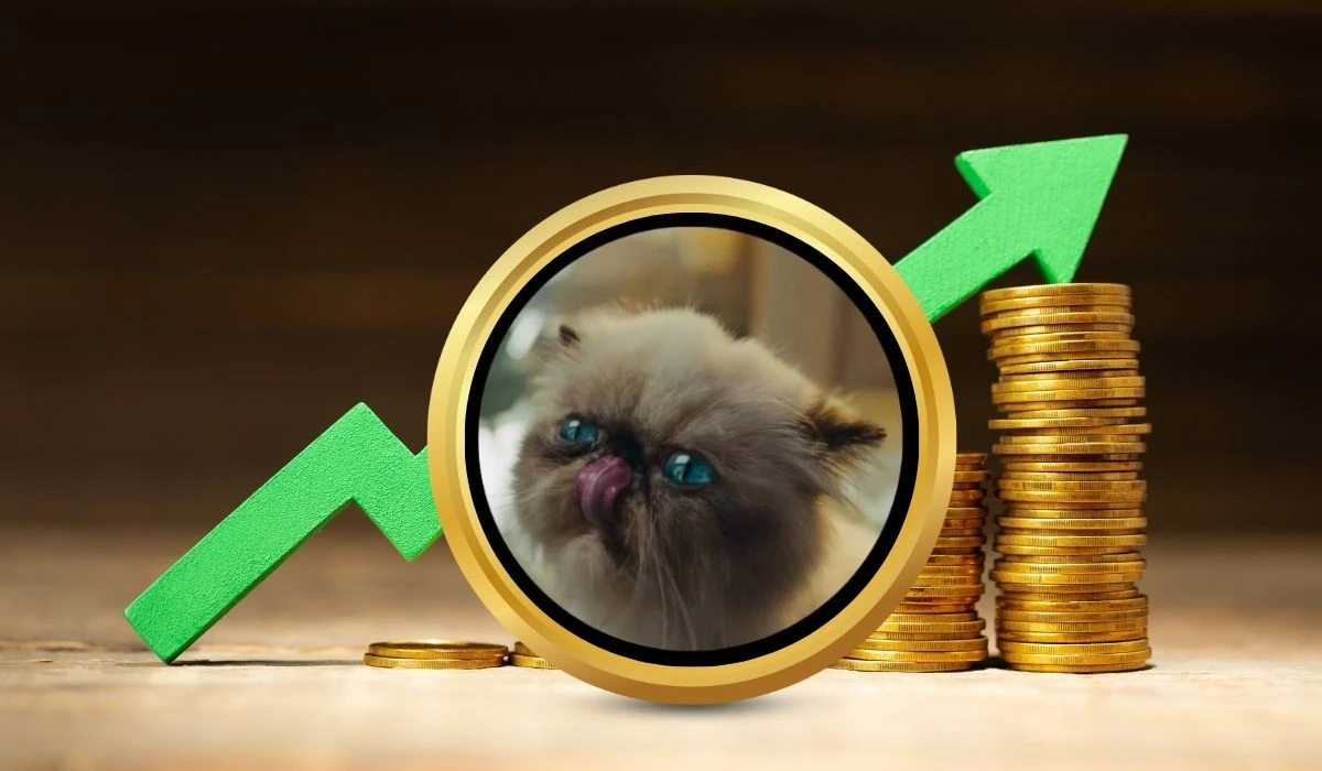 Mister Miggles Meme Coin Price Prediction